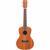 Cordoba 15CM concert ukelele