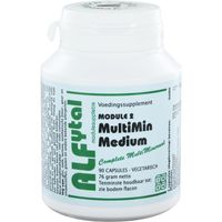 MultiMin Medium (module 2)