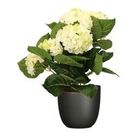 Hortensia kunstplant/kunstbloemen 36 cm - wit/groen - in pot zwart mat