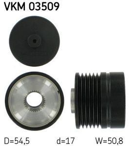 Dynamovrijloop VKM03509