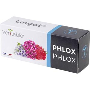 Veritable Indoor Garten navulpak Lingot Phlox/Flammenblumen 128 mm 1 stuk(s)