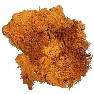 Decoratie nep mos - 3x zakjes - oranje - 50 gram - Hobby/knutselen - herfst/kerst thema decoreren