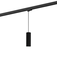 Wever & Ducre - Ray on track (1F) 2.0 PAR16 Hanglamp