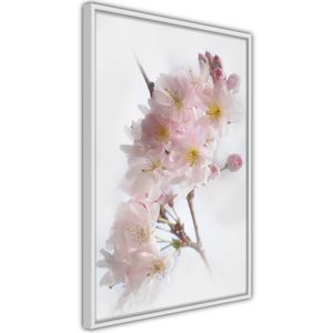 Ingelijste Poster - Lente Bloemen Witte lijst