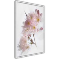 Ingelijste Poster - Lente Bloemen Witte lijst