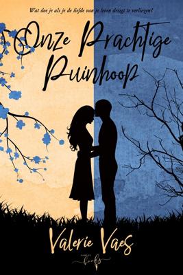 Onze prachtige puinhoop - Valerie Vaes - ebook