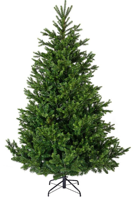 Kunstkerstboom Nordmann Fir groen H210 D150 cm Everlands - Everlands Kunstkerstboom Nordmann Fir groen H210 D150 cm Everlands - Everlands