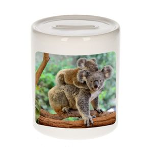 Dieren foto spaarpot koala 9 cm - koalaberen spaarpotten jongens en meisjes