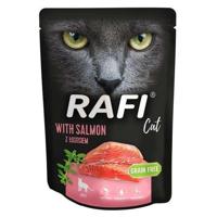 DOLINA NOTECI RAFI CAT met zalm - Nat kattenvoer - 300 g