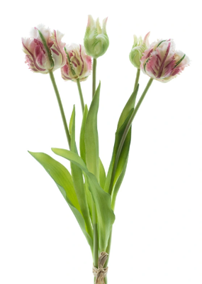 Bosje kunst tulpen Parrot Sally x5 pink 40 cm - Buitengewoon de boet