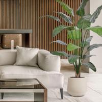 Strelitzia Nicolai deluxe Kunstpalm 200cm in pot