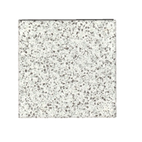 Terre d&apos;Azur Terrazzo 1930 White 20x20 cm