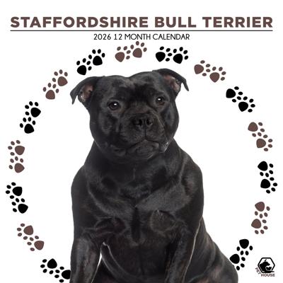 Staffordshire Bull Terrier Kalender 2026