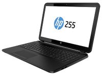 HP 255 G2 Notebook 39,6 cm (15.6") AMD E 4 GB DDR3-SDRAM 500 GB HDD Windows 8.1 Zwart - thumbnail