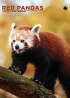 Rode Panda A3 Kalender 2026
