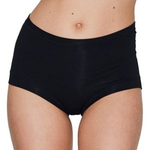 JBS of Denmark Bamboo Maxi Brief