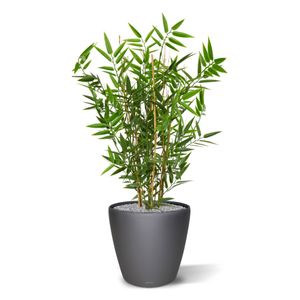 Japanse Bamboe kunstplant 60cm - UV bestendig