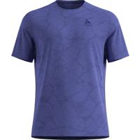 Odlo ZeroWeight Crew Neck Chilltec T-Shirt Heren