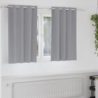 VidaXL Zwart-out gordijnen met ringen 2 pcs lichtgrijs 140 x 140 cm