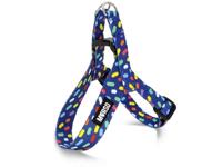 MORSO MINI HONDENTUIG VERSTELBAAR GERECYCLED COLOR INVADERS PAARS 32-41X2,5 CM MORSO MINI HONDENTUIG VERSTELBAAR GERECYCLED COLOR INVADERS PAARS 32-41X2,5 CM