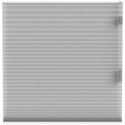 Leen Bakker - Fenstr Plisségordijn Cambridge Dubbel 25mm Transparant - Licht (20029) - Polyester - Grijs - 120x10x10 Cm