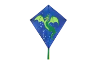 Dragon Fly Diamantvlieger Groene Draak