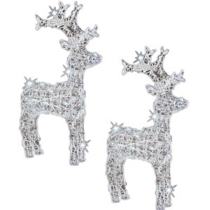 Set van 2x stuks kerstverlichting LED figuren voor buiten rendier 60 cm met 50 lampjes helder wit