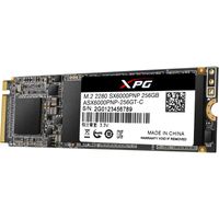 SX6000 Pro, 256 GB SSD