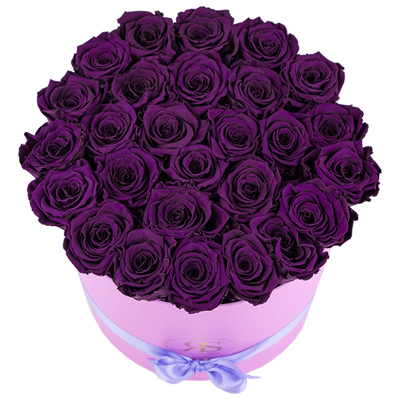 Flowerbox longlife Aaliyah Flowerbox longlife Aaliyah