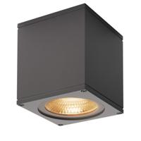 SLV Plafond- wandspotBig Theo 17,5w - 3000K - 15cm antraciet - 234535