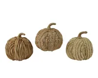 Pompoen Waterhyacint 18cm Assorti 1st Pompoen Waterhyacint 18cm Assorti 1st
