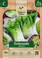 Zichoriensla herfstsla 200st