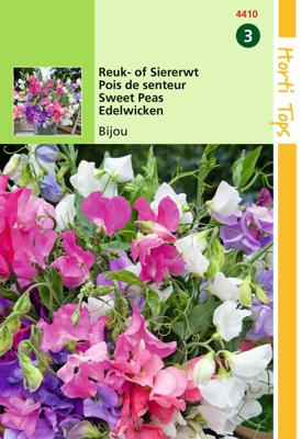 Lathyrus odoratus Bijou gemengd - Hortitops