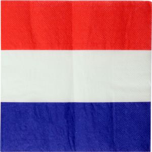 20x Nederland feest servetjes met Nederlandse vlag opdruk 33 x 33 cm   -