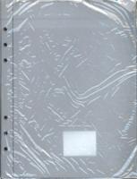 Pictogenda Plastic insteekhoes (set van 2) (Agenda) Pictogenda Plastic insteekhoes (set van 2) (Agenda)