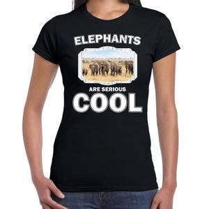Dieren olifant t-shirt zwart dames - elephants are cool shirt - kudde olifanten 2XL  -