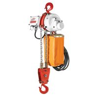 Delta Elektrische kettingtakel US | 230V | 10 m | 1 ton - CZ.0.US.902.00.10 CZ.0.US.902.00.10