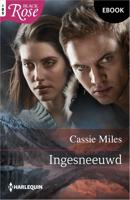 Ingesneeuwd - Cassie Miles - ebook