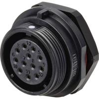 Weipu SP2112 / S 12 Ronde connector Bus, inbouw Totaal aantal polen: 12 Serie (ronde connectoren): SP21 1 stuk(s)