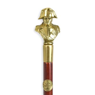 A BRONZE-HANDLED WALKING STICK