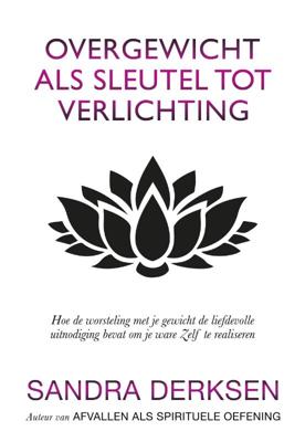 Overgewicht als sleutel tot verlichting (Paperback)