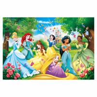 Clementoni maxi puzzel disney prinses, 60st.