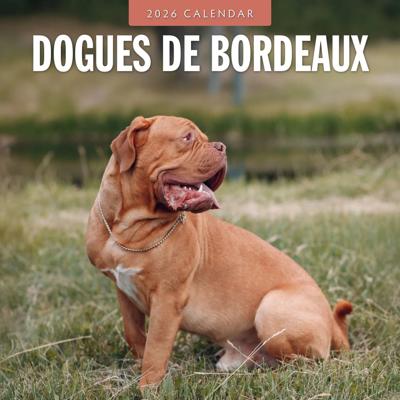 Bordeaux Dog Kalender 2026 Bordeaux Dog Kalender 2026