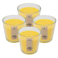 Atmosphera Candles Geurkaars - 4x - in glas - citronella aroma - 40 branduren - 13 x 12 cm