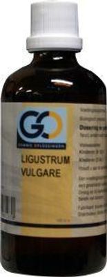 GO Ligustrum vulgare (100 ml)