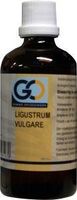 GO Ligustrum vulgare (100 ml)