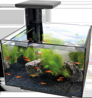 Superfish Qubiq 20 zwart