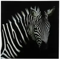 Schilderij Zebra Wild Life L 80 Glas Wit Zwart Vierkant Countryfield