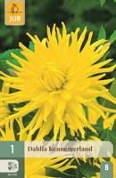 Dahlia Kennemerland