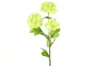 Decostar zijdebloem Viburnum 60 cm groen